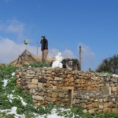 IMG_4554