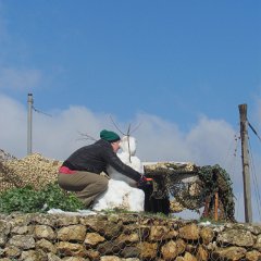 IMG_4556