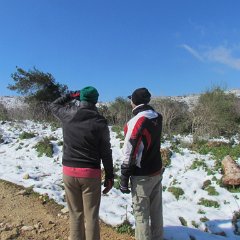 IMG_4557