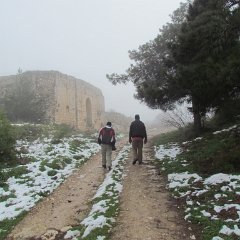 IMG_4562