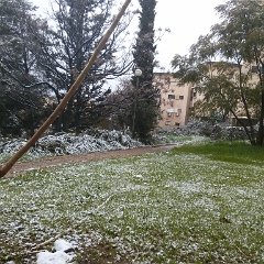 IMG_20150220_073245