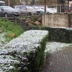 IMG_4505