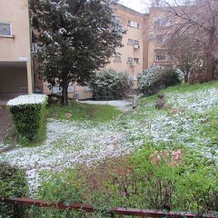 IMG_4515