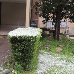 IMG_4516