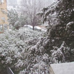 IMG_4520