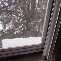 IMG_4526
