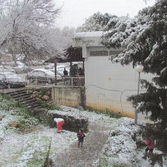 IMG_4527