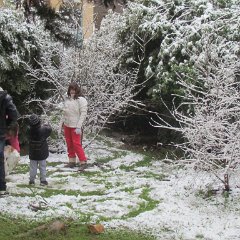 IMG_4530