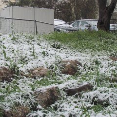 IMG_4531