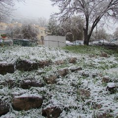 IMG_4532
