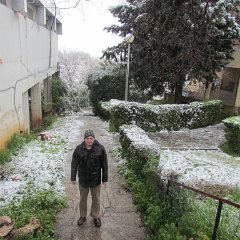 IMG_4533