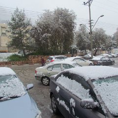 IMG_4534