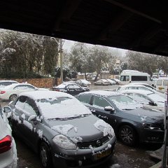 IMG_4535
