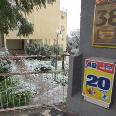 IMG_4536
