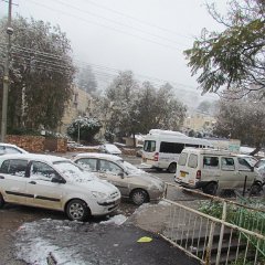 IMG_4537
