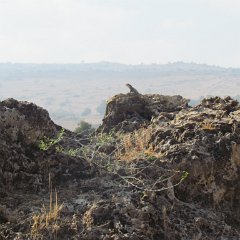 IMG_5703
