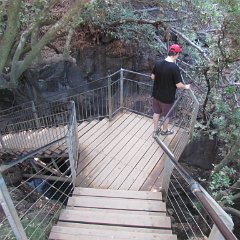 IMG_5713