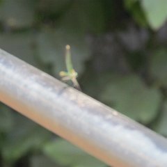 IMG_5725