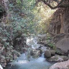 IMG_5726