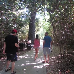 IMG_5746