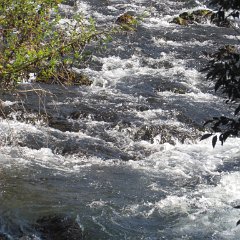 IMG_5754
