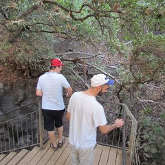 IMG_5990