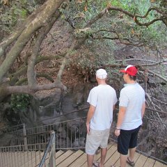 IMG_5991
