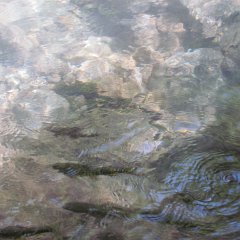 IMG_6001