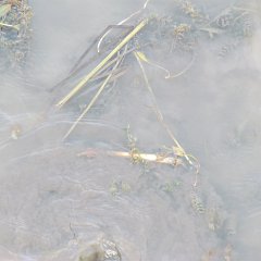 IMG_6041
