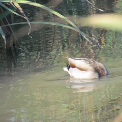 IMG_6055