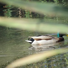 IMG_6056