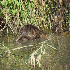 IMG_6058