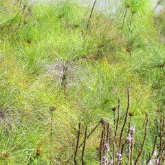 IMG_6069