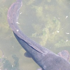 IMG_6075