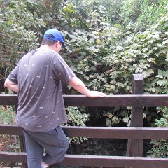 IMG_5931