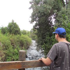 IMG_5939