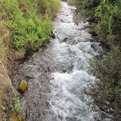 IMG_5940