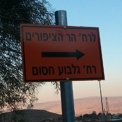 image20160928_175702643
