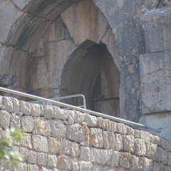 IMG_5631