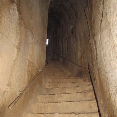 IMG_5647