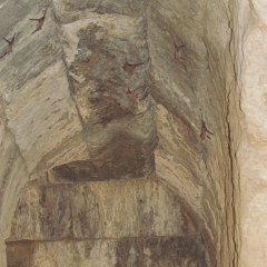 IMG_5687