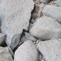 IMG_5618