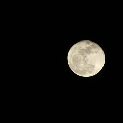 BlueMoon