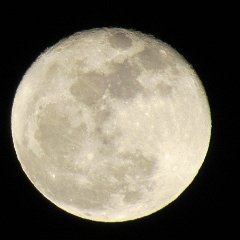 IMG_6204b