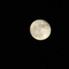 IMG_6206