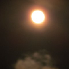 IMG_6207