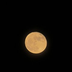 IMG_6208