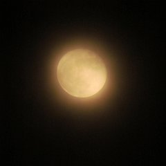 IMG_6209
