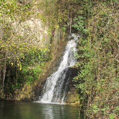 IMG_6220