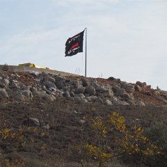 IMG_6229